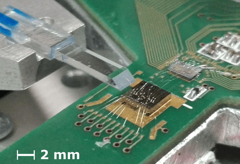 Optical Waveguides Photonic Devices Group