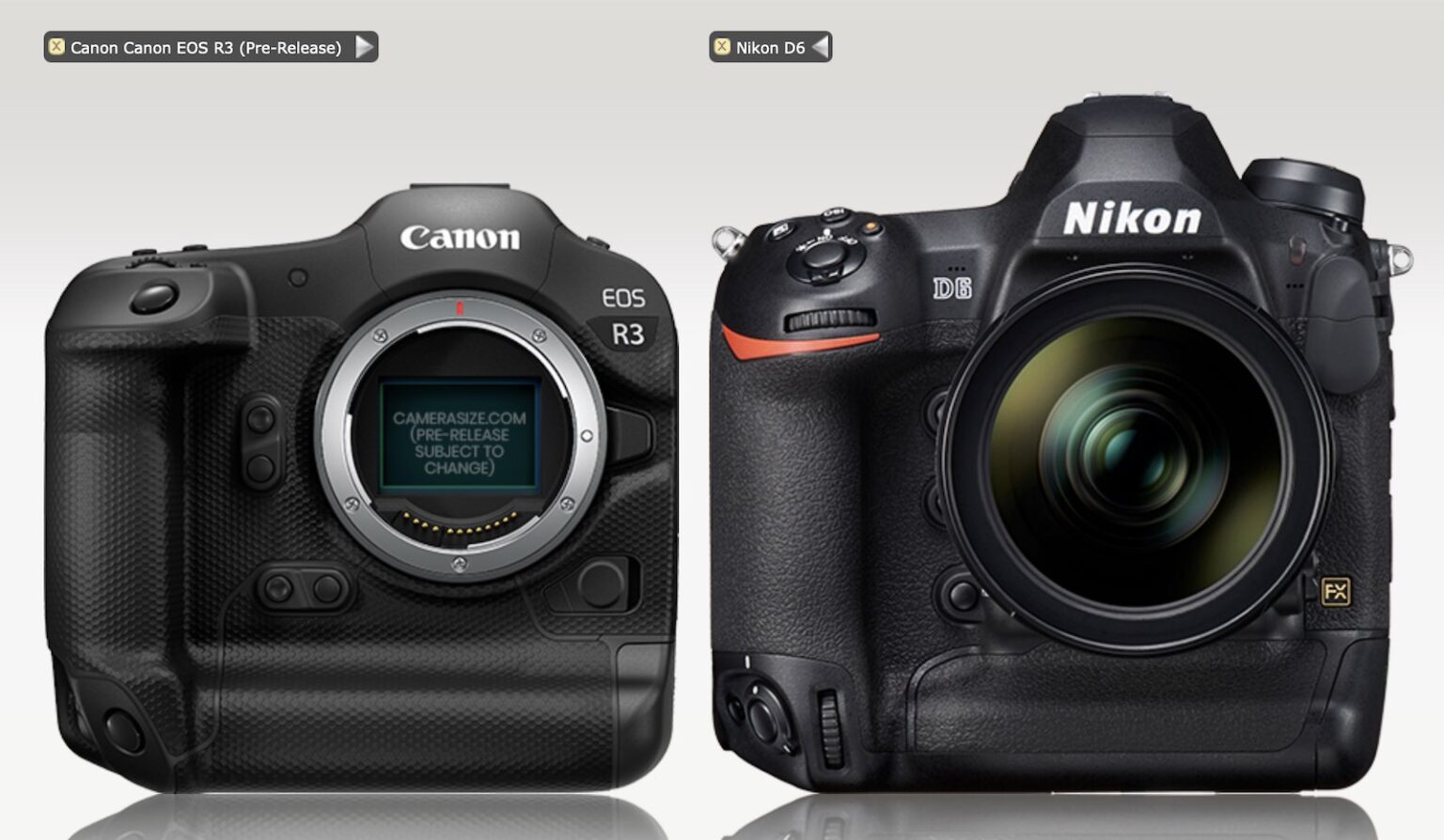 Canon EOS R3 pro mirrorless camera size comparisons Photo Rumors