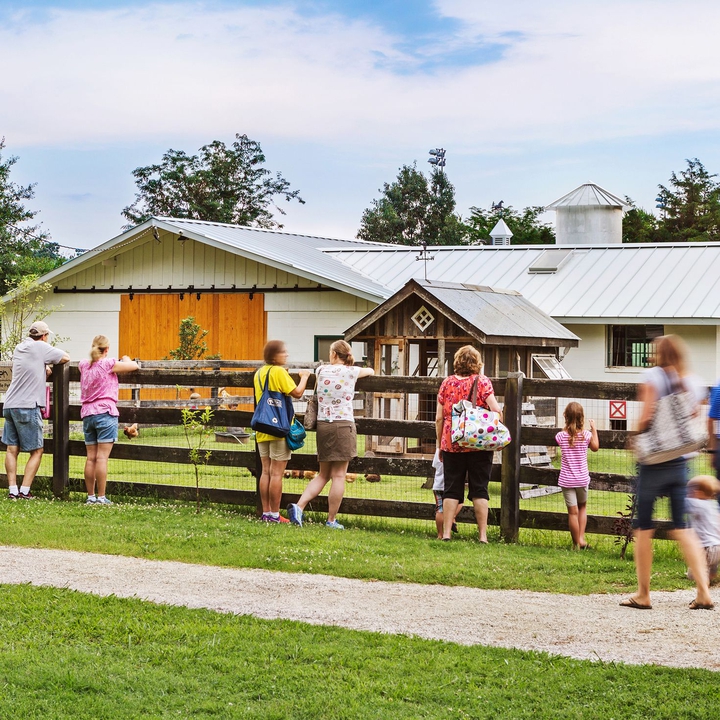 Bandsintown Rivaling Dixie Tickets Bobby Lanier Farm Park, Apr 30, 2022