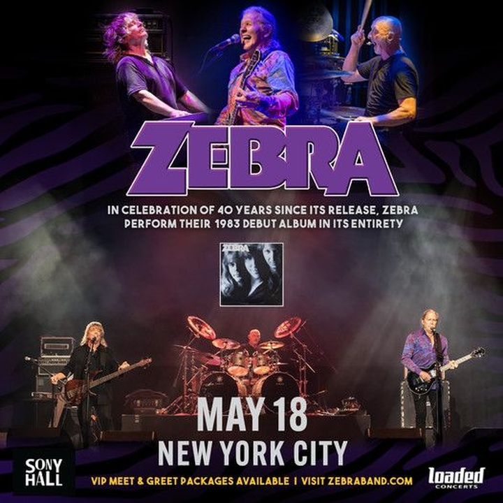 Zebra Concerts & Live Tour Dates 20242025 Tickets Bandsintown