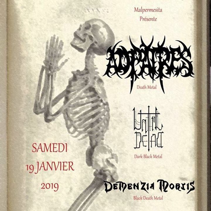 Bandsintown Ad Patres Tickets Bobble Café (Café Ciné, Jan 19, 2019