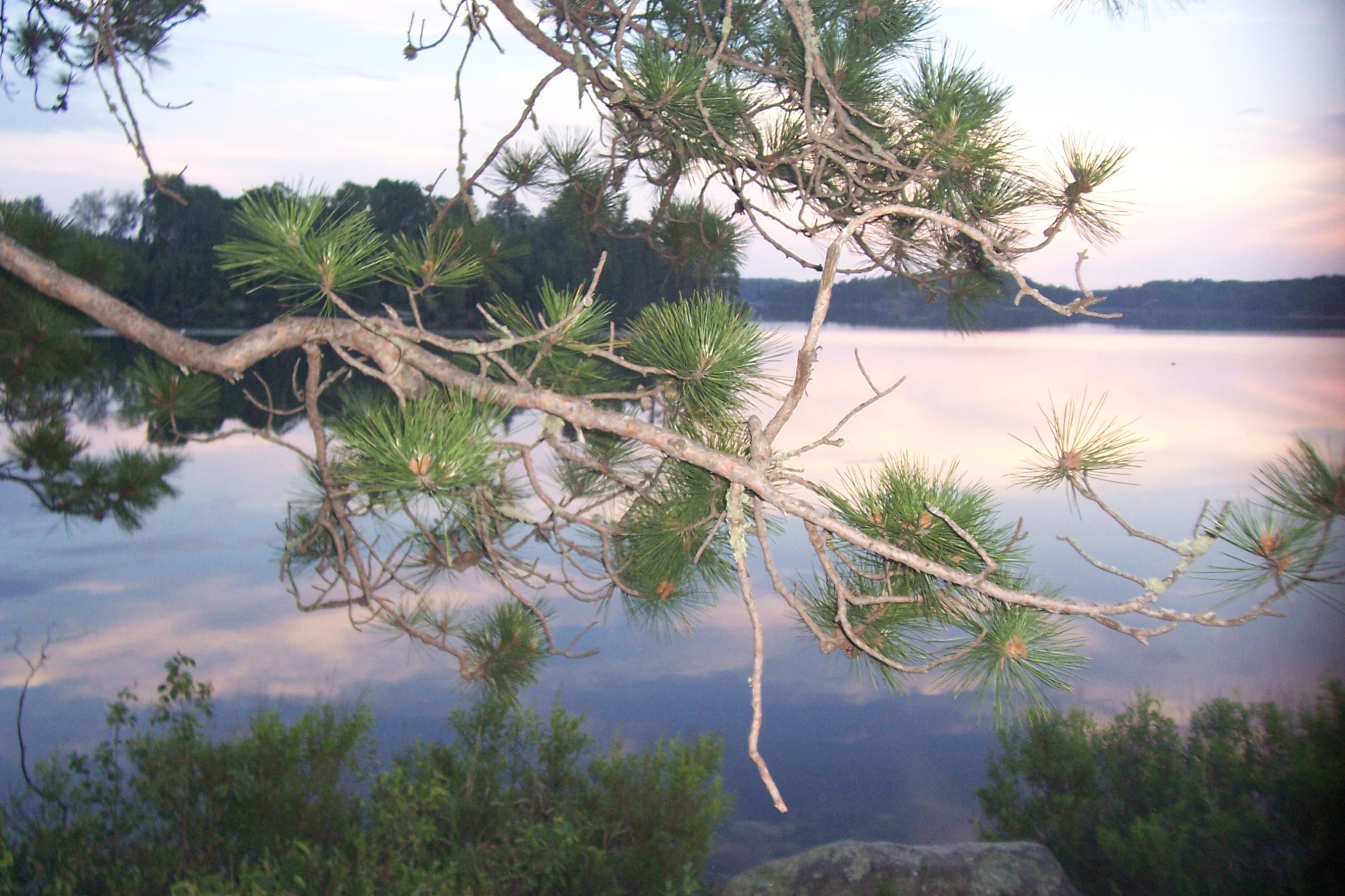 Boundary Waters, Message Board, Forum, BWCA, BWCAW, Quetico Park