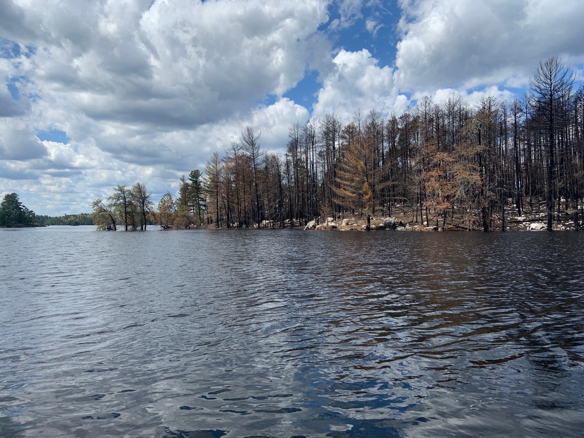 BWCA Quetico Fire Damage Firsthand Reports Boundary Waters Quetico Forum
