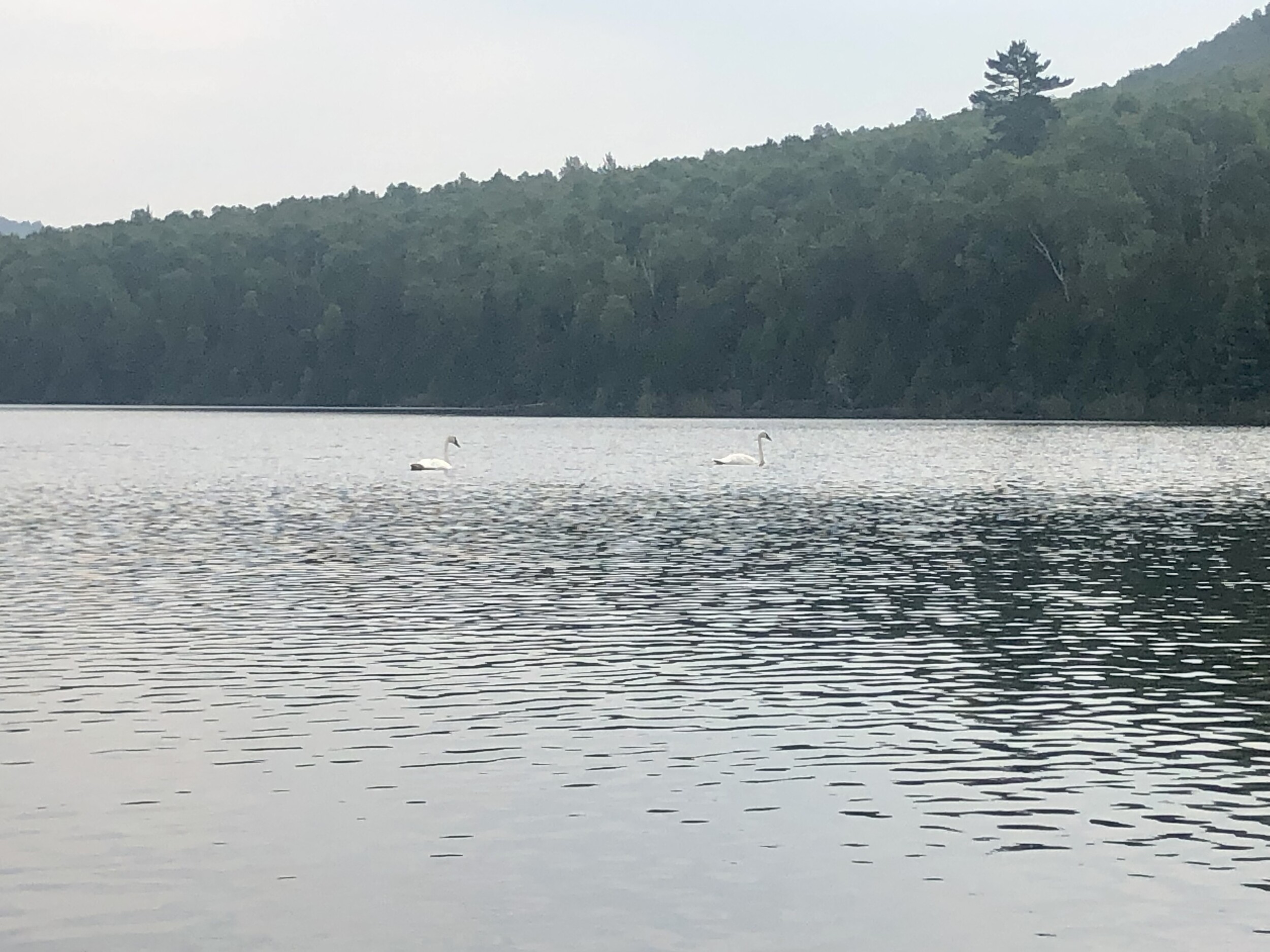 BWCA August 2024 Photo Contest Boundary Waters Listening Point