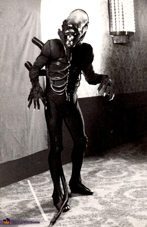 Homemade Alien Adult Costume DIY Costumes Under 25 Photo 2/2
