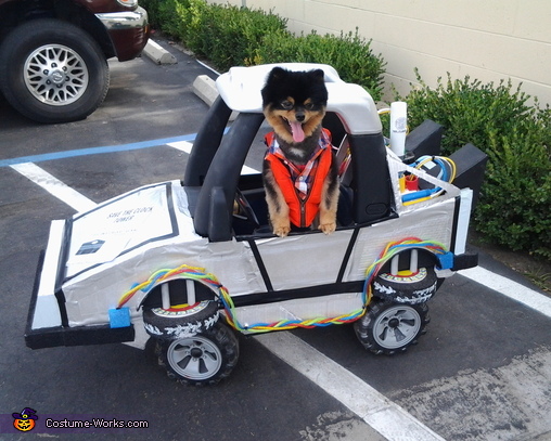 Back to the Future Marty McFly Dog Costume