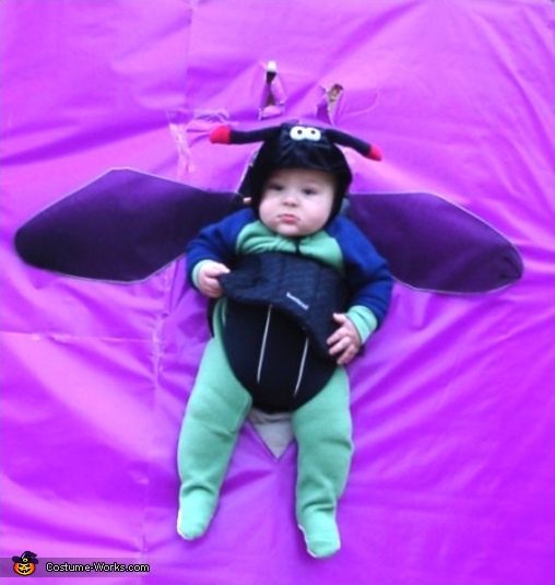 Homemade Bug Costume for Babies DIY Costumes Under 45 Photo 2/2
