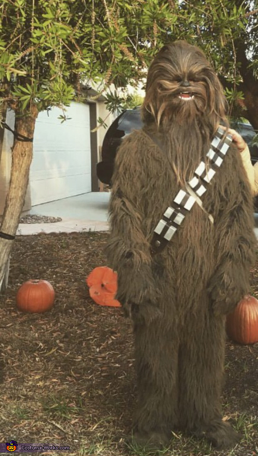 Chewbacca Adult Costume Easy DIY Costumes