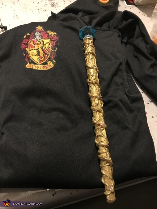 Harry Potter Boy's Halloween Costume DIY Costumes Under 35 Photo 6/6