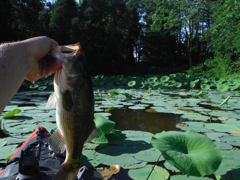 Buckeye Lake OH Fishing Reports, Map & Hot Spots