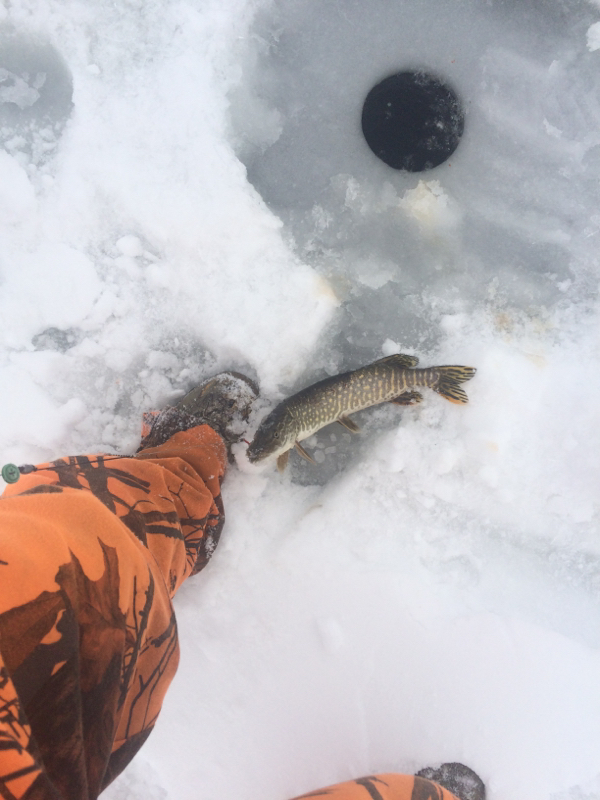 Browns Lake WI Fishing Reports, Map & Hot Spots