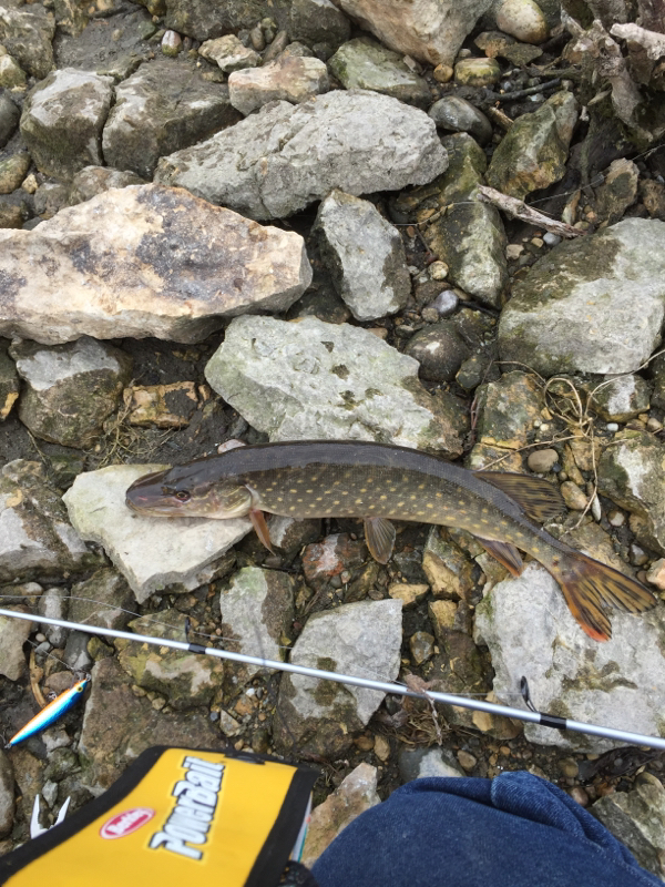 Rock River IL Fishing Reports, Map & Hot Spots