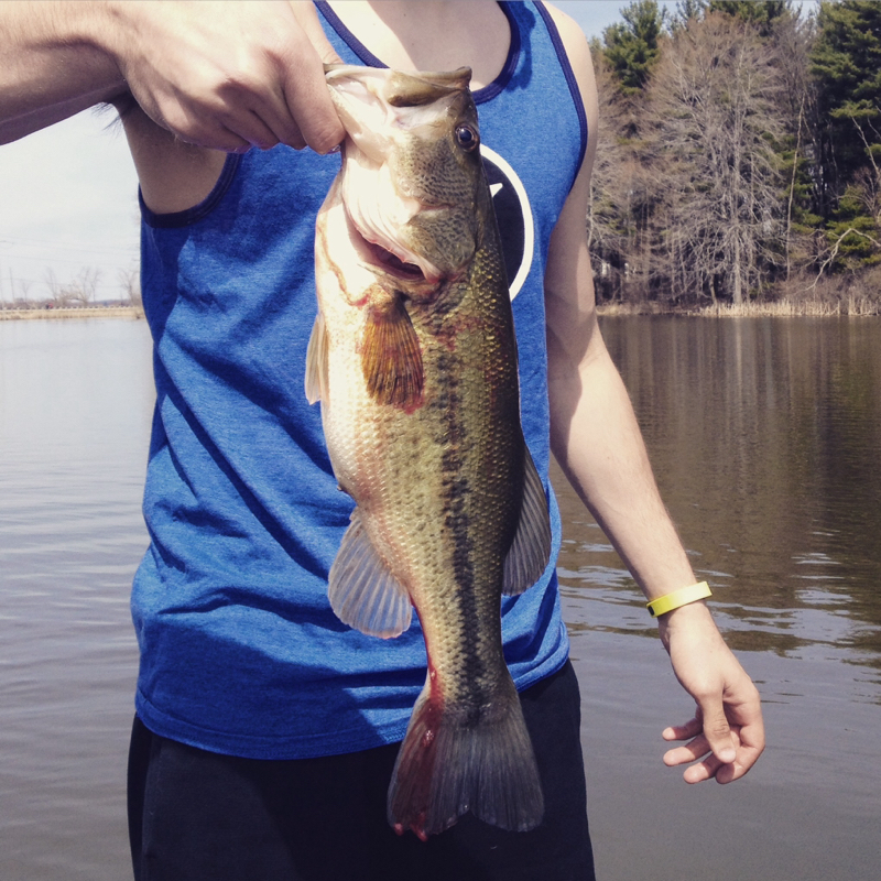 Nimisila Reservoir OH Fishing Reports, Map & Hot Spots