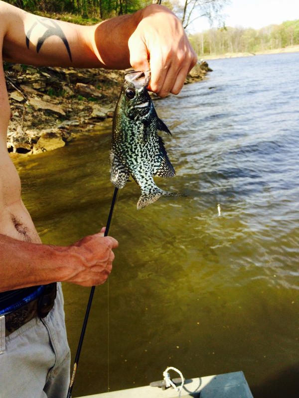 Cecil M. Harden Lake IN Fishing Reports, Map & Hot Spots