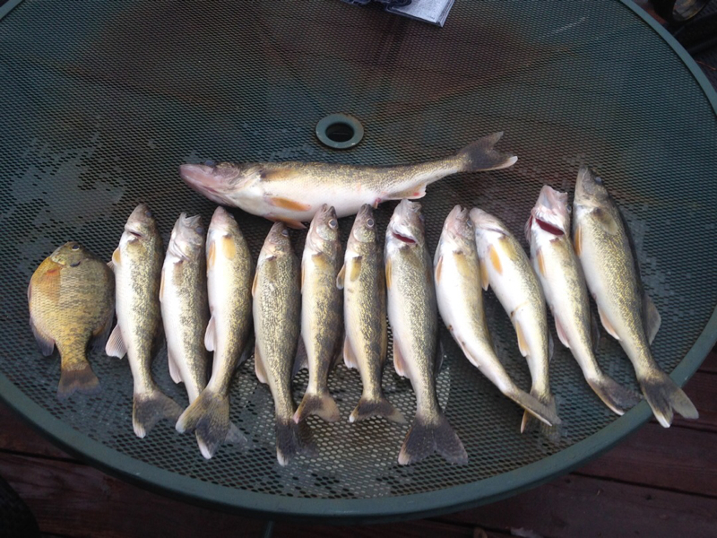 Minnewaska Lake MN Fishing Reports, Map & Hot Spots