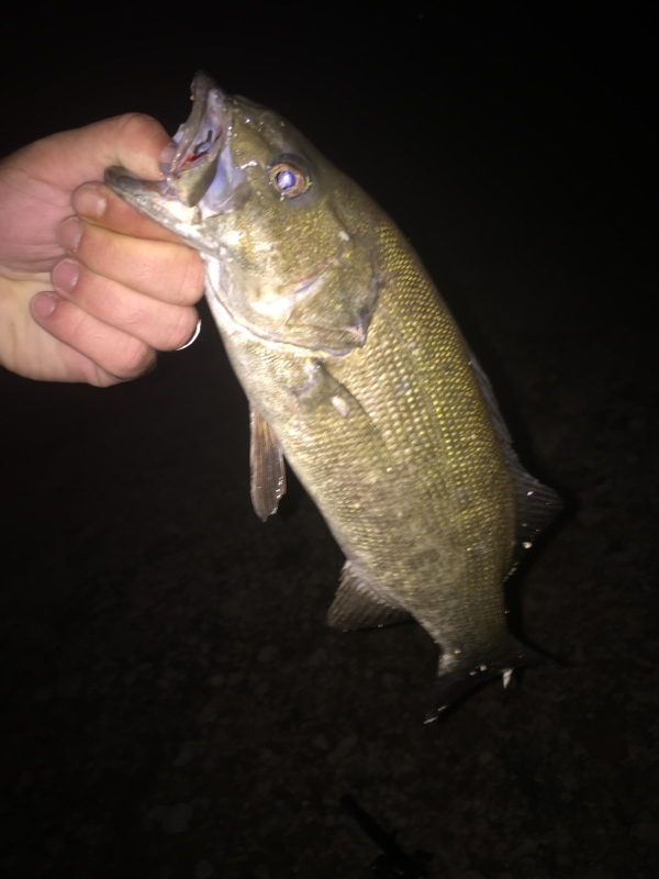 Stillhouse Hollow Lake TX Fishing Reports, Map & Hot Spots