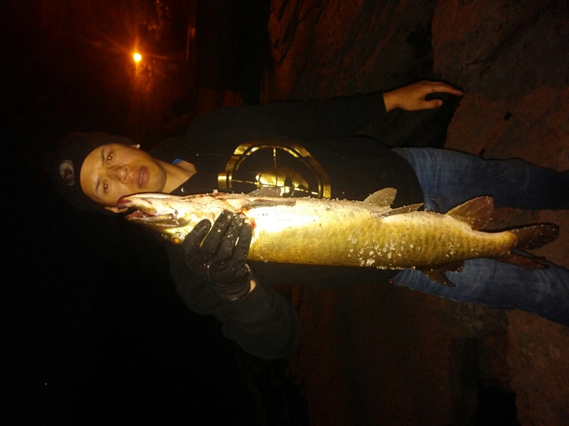 Fox River IL Fishing Reports, Map & Hot Spots