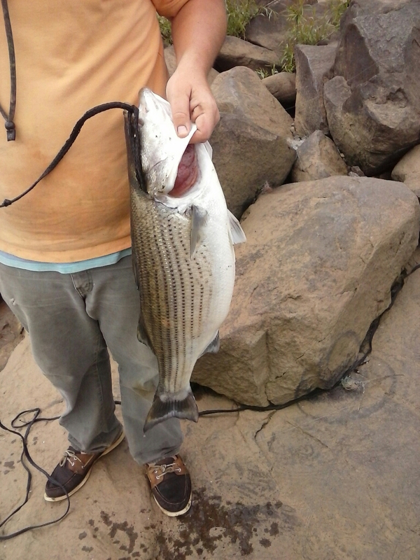 Lake Oliver GA Fishing Reports, Map & Hot Spots