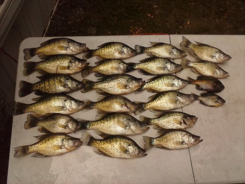 Stockton Lake MO Fishing Reports, Map & Hot Spots