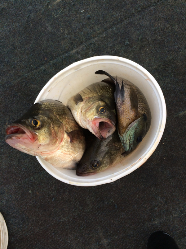 Conneaut Lake PA Fishing Reports, Map & Hot Spots