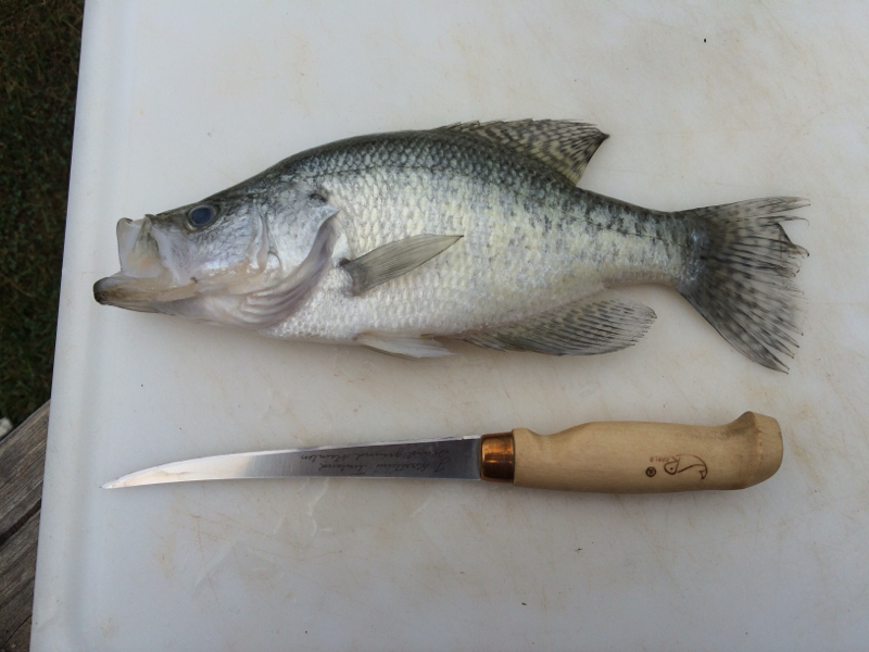 Lake Adger NC Fishing Reports, Map & Hot Spots