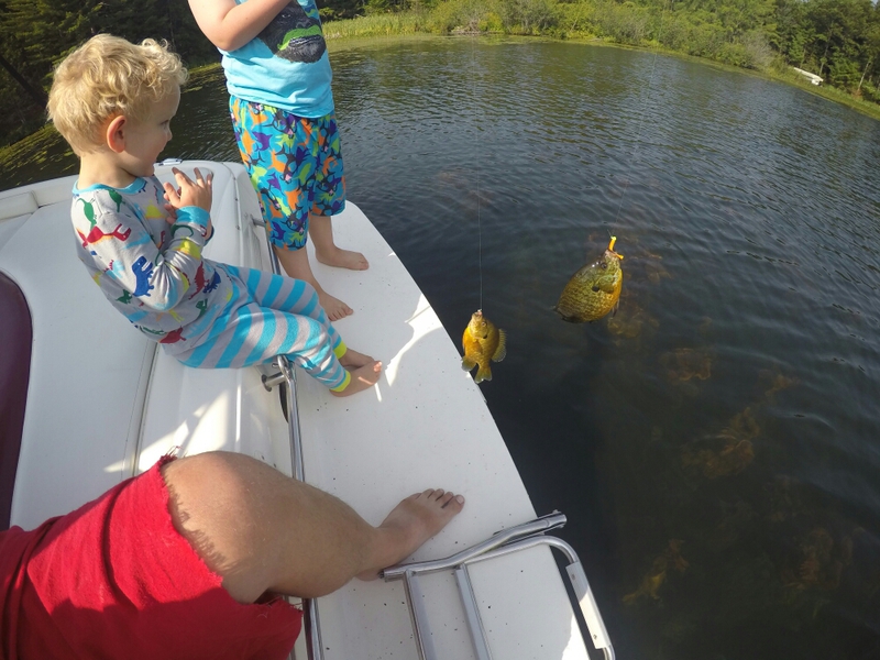 Lake Tomahawk WI Fishing Reports, Map & Hot Spots