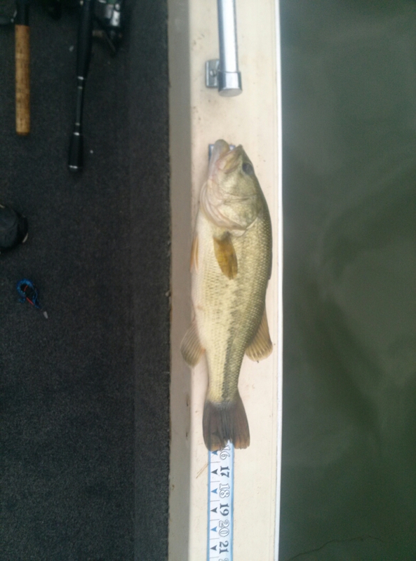 Lake Wilhelm PA Fishing Reports, Map & Hot Spots