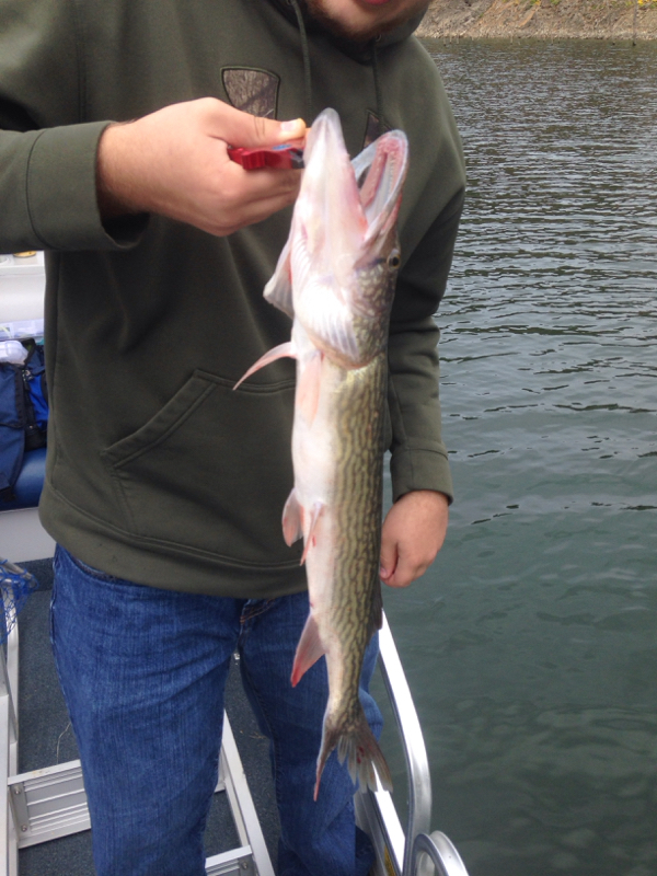Lake Moomaw VA Fishing Reports, Map & Hot Spots