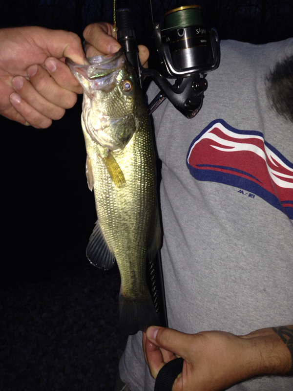 Deer Creek Lake OH Fishing Reports, Map &amp, Hot Spots