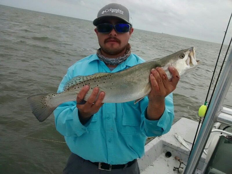 Port Mansfield TX Fishing Reports, Map & Hot Spots