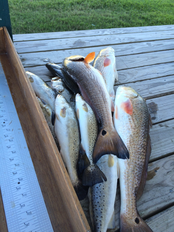 Lake Calcasieu LA Fishing Reports, Map & Hot Spots