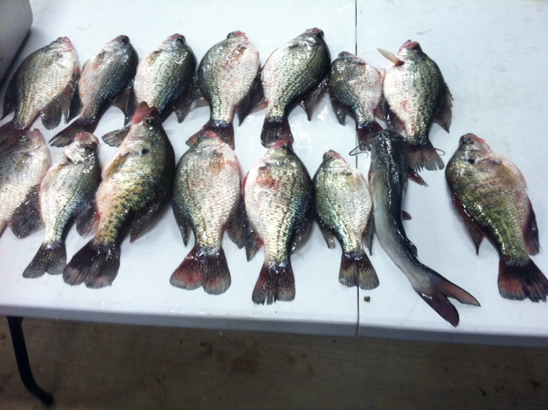 Lake Livingston TX Fishing Reports, Map & Hot Spots
