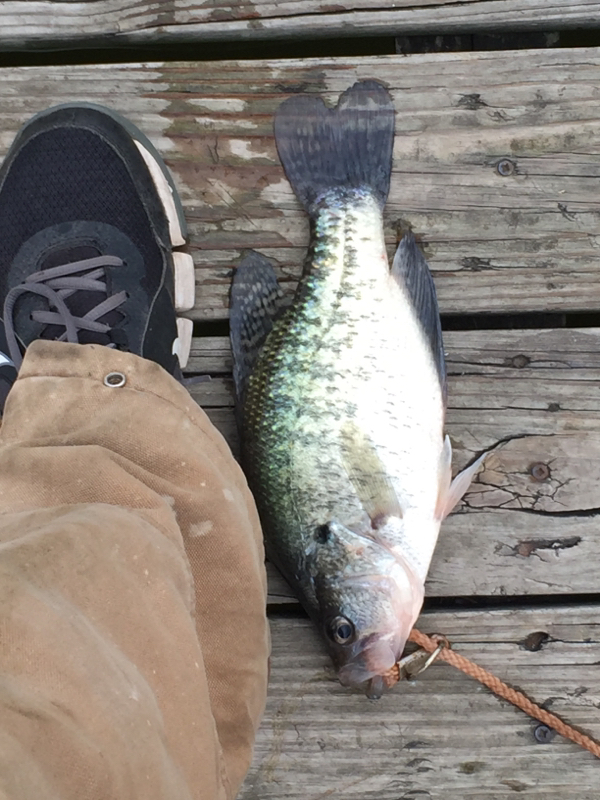 Skiatook Lake OK Fishing Reports, Map & Hot Spots