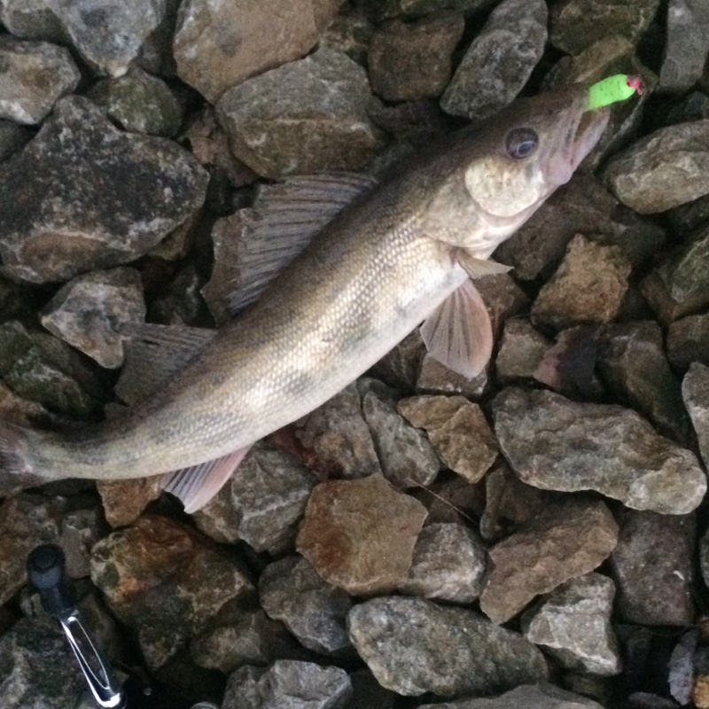 Deer Creek Lake OH Fishing Reports, Map & Hot Spots