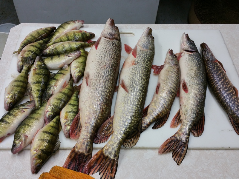 Lake Whitewood SD Fishing Reports, Map & Hot Spots