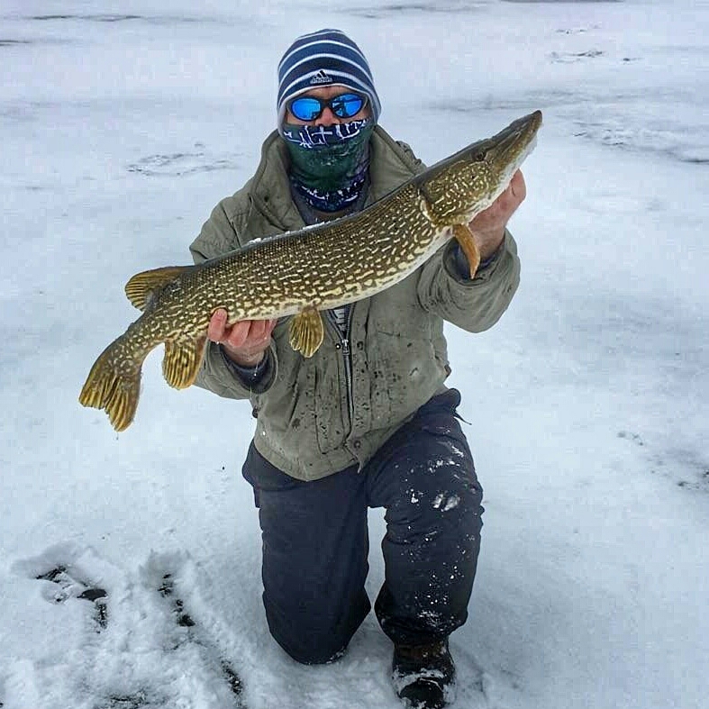 Mallard Lake IL Fishing Reports, Map & Hot Spots