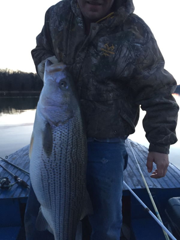 Fort Loudon Reservoir TN Fishing Reports, Map & Hot Spots