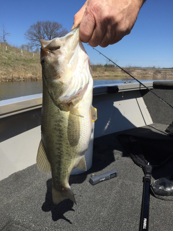 Otter Lake IL Fishing Reports, Map & Hot Spots