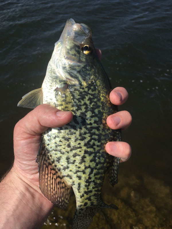 Lawrence Youngman Lake NE Fishing Reports, Map & Hot Spots