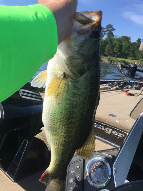 Toledo Bend LA Fishing Reports, Map & Hot Spots