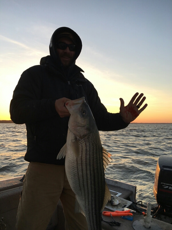 Delaware River DE Fishing Reports, Map & Hot Spots
