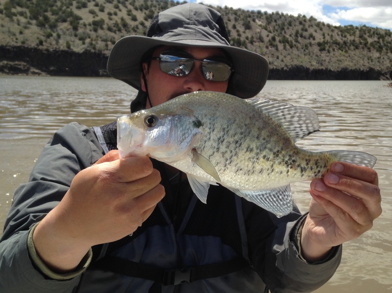 Cochiti Lake NM Fishing Reports, Map & Hot Spots