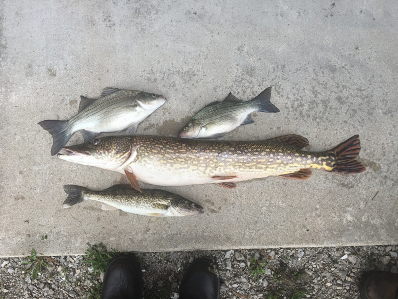 Mullett And Burt Lakes MI Fishing Reports, Map & Hot Spots