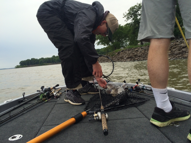 Carlyle Lake IL Fishing Reports, Map & Hot Spots
