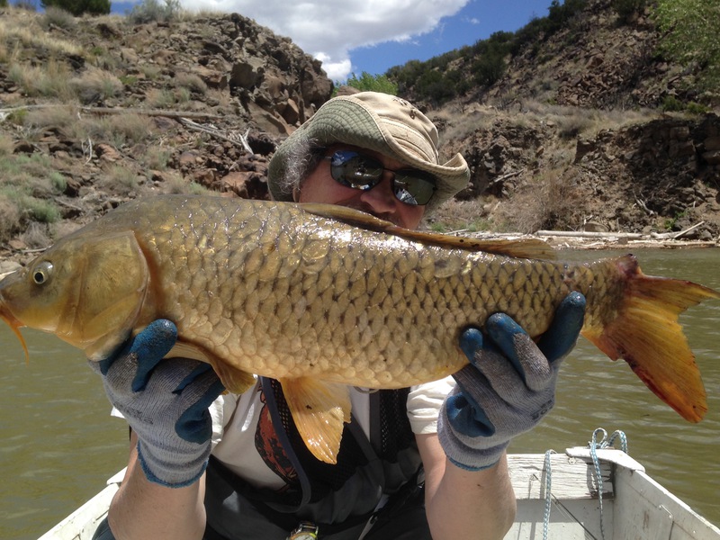 Cochiti Lake NM Fishing Reports, Map & Hot Spots