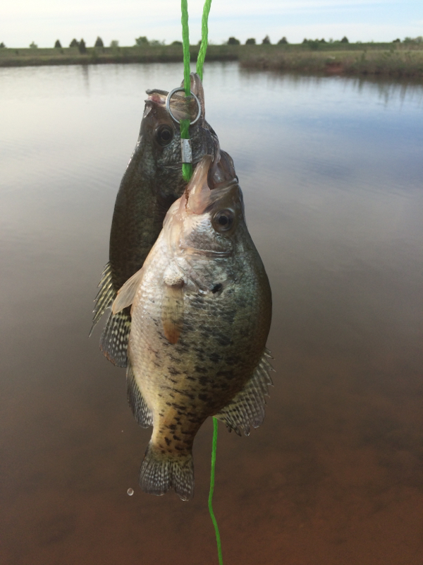 Hefner Lake OK Fishing Reports, Map & Hot Spots