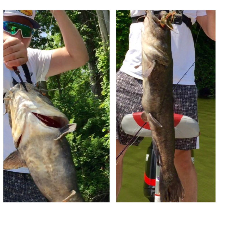 East Fork Lake OH Fishing Reports, Map & Hot Spots