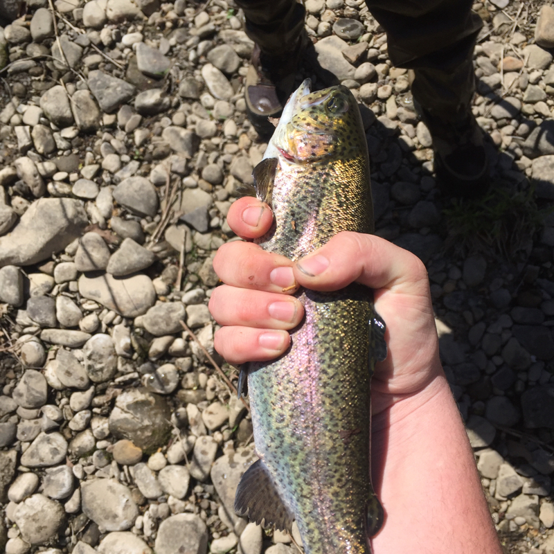 Little Juniata River PA Fishing Reports, Map & Hot Spots