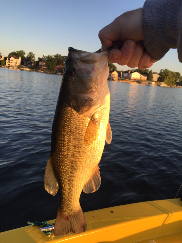 Woodland Lake MI Fishing Reports, Map & Hot Spots