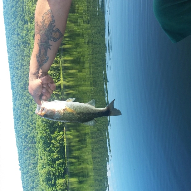 Mauch Chunk Lake PA Fishing Reports, Map & Hot Spots